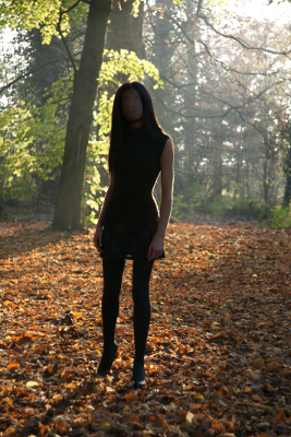 Dark Woods 2, par Xavier E. G. Dierick